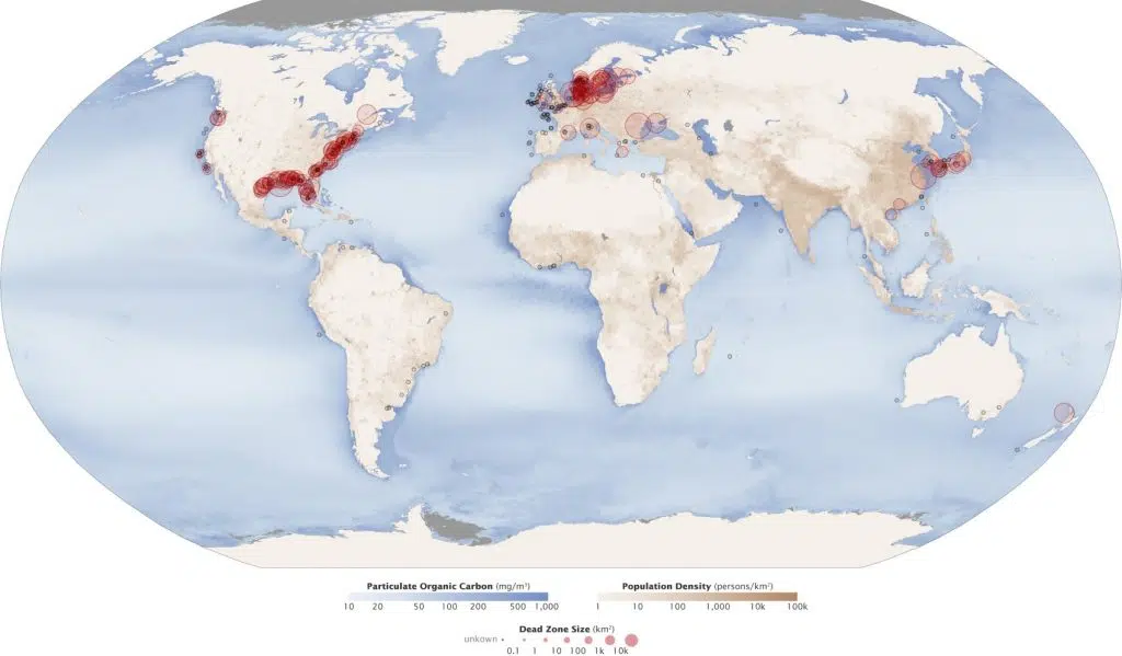 dead zones of the ocean