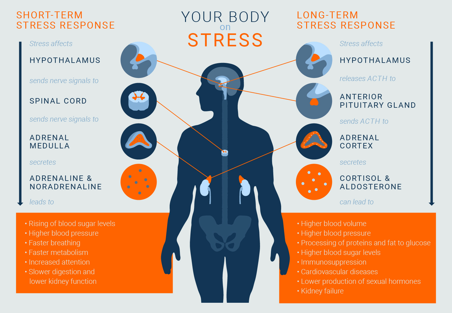 chronic-stress-causes-types-examples-and-treatment