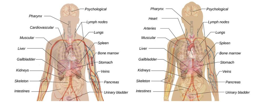 breathing during exercise