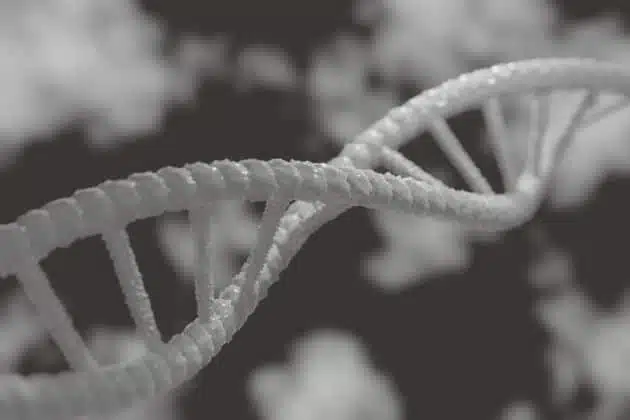 dna